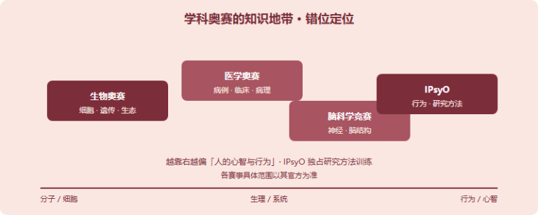 前医、神经、认知科学方向，IPsyO 和生物/医学奥赛怎么搭？赛道组合指南（2026）