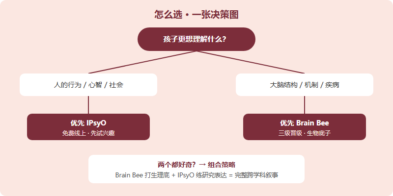 IPsyO 与 Brain Bee 选择决策树