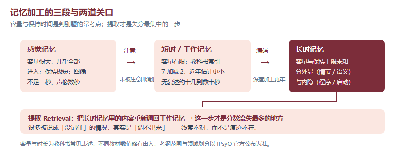 记忆加工流程示意图,展示感觉记忆经注意进入短时与工作记忆、经编码进入长时记忆,以及提取环节的位置与容量保持时间要点