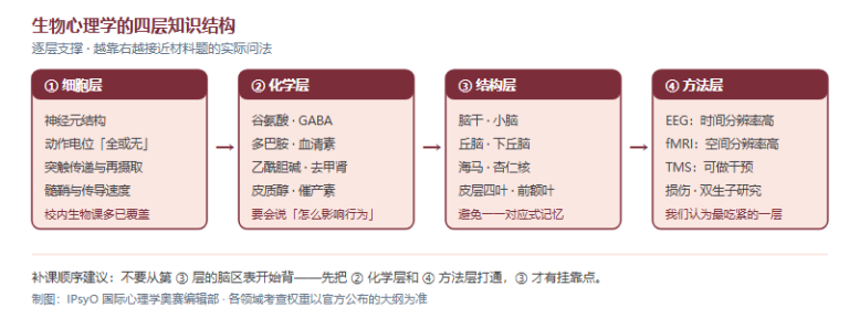 IPsyO 六大领域里最难自学的一块：生物心理学与神经基础怎么补（2026）