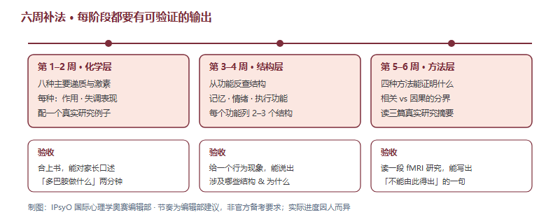 生物心理学六周补课路线：第一二周化学层、第三四周结构层、第五六周方法层，每阶段配一个可验证的输出标准